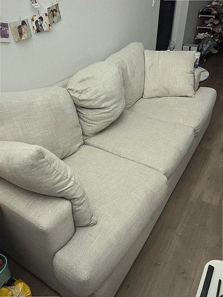 Wayfair Couch Living Room